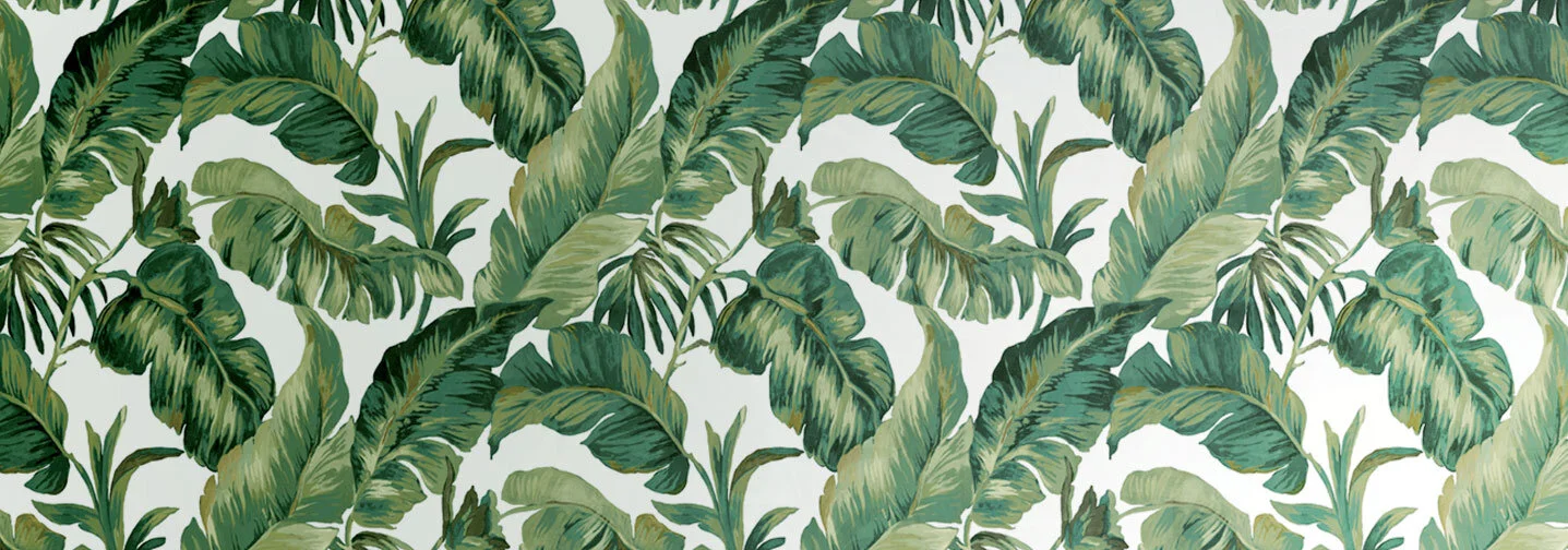 AMAZZONIA — Pacific Designs International